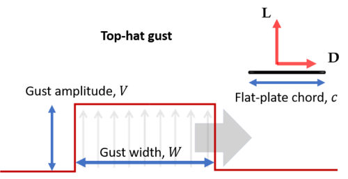 Infographic of top hat gust